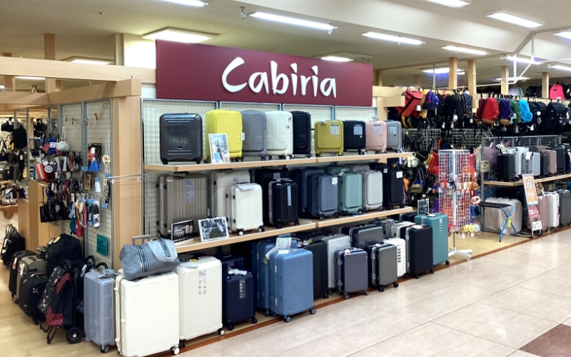 カビリア アピタ新潟西店